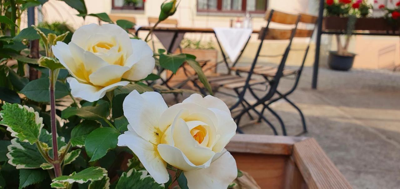 Hotel "Pension Marlis" Garni Reichenberg  Exteriör bild